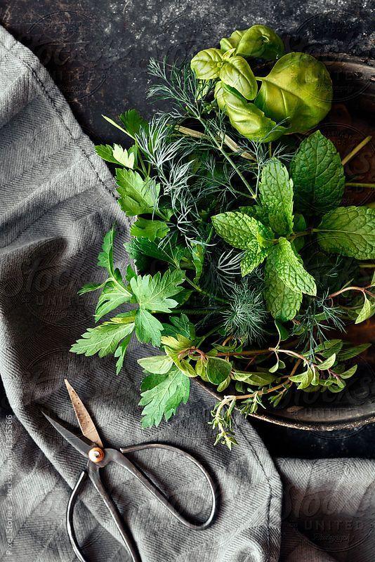 Wholesome Harvest Bounty Basket